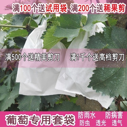北京露天用葡萄专用套袋葡萄纸袋葡萄袋子葡萄套袋防雨防病防虫袋包