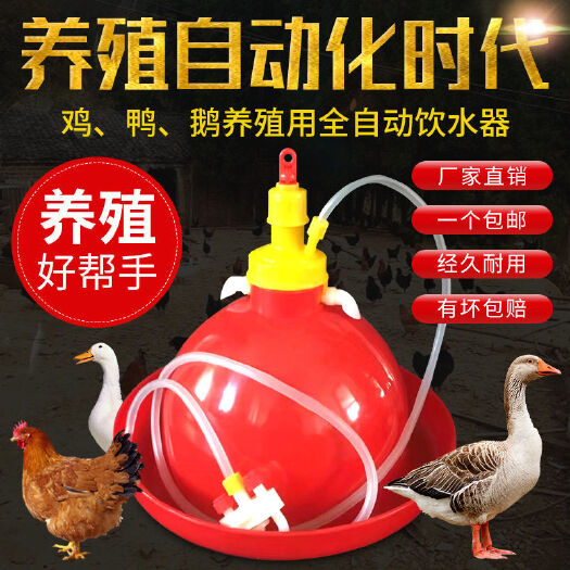 北京饮水设备 鸡用自动饮水器