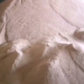 浚县豆粕饲料 鸡 鸭 鹅 兔 鸽子 鱼 虾  鹌鹑