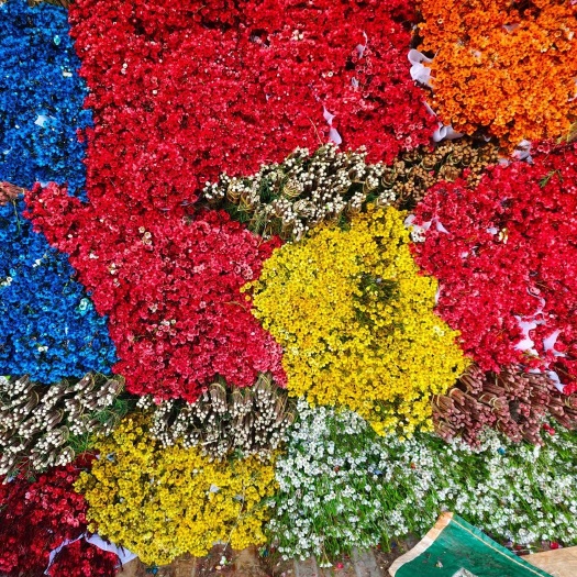 腊梅鲜切花  素心腊梅 腊梅 腊梅花 地摊早市赶集非常火爆产