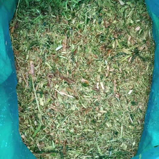 文水县青储草 采用高蛋白牧草加工而成的青储