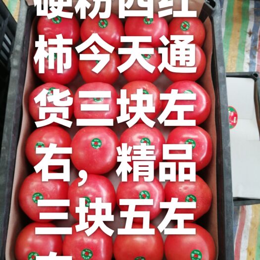 菏泽 硬粉西红柿，肉质饱满，鲜嫩多汁，营养丰富，甜度高，红度好。