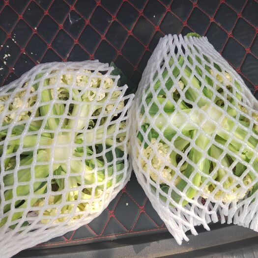 郯城县白花菜花 松散 山东省临沂市郯城县 2~3斤