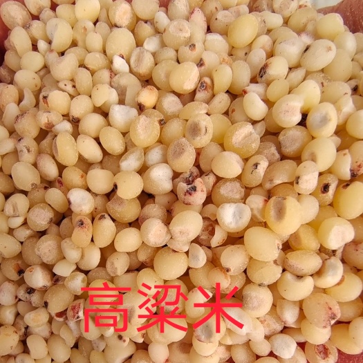 高粱米 现货供应，脱皮去壳高粱米 高粱仁，五谷杂粮袋装39