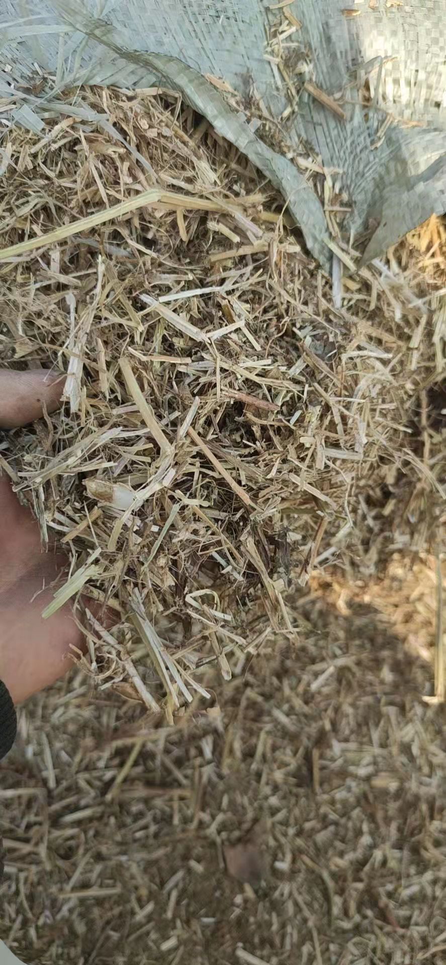  花生秧 一级