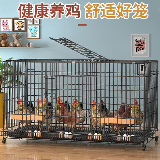 西安鸡笼子养殖笼家用大号特大号自动滚蛋清粪折叠养殖笼鸡舍鸡窝笼