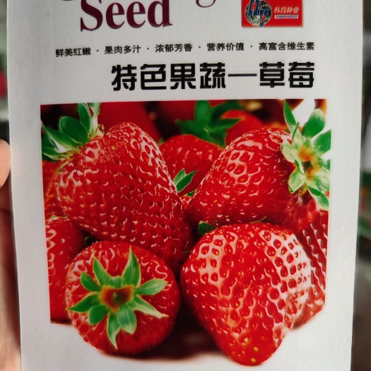 北京草莓种子