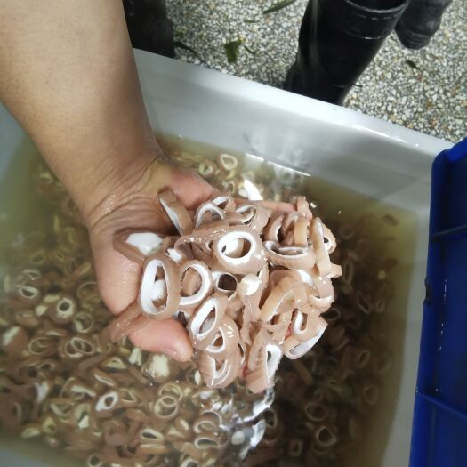 贵阳魔芋丝  白魔芋 凉菜，素食脆肚