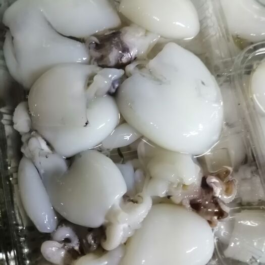 北海细乌贼 B级盒装墨鱼仔厂家直销