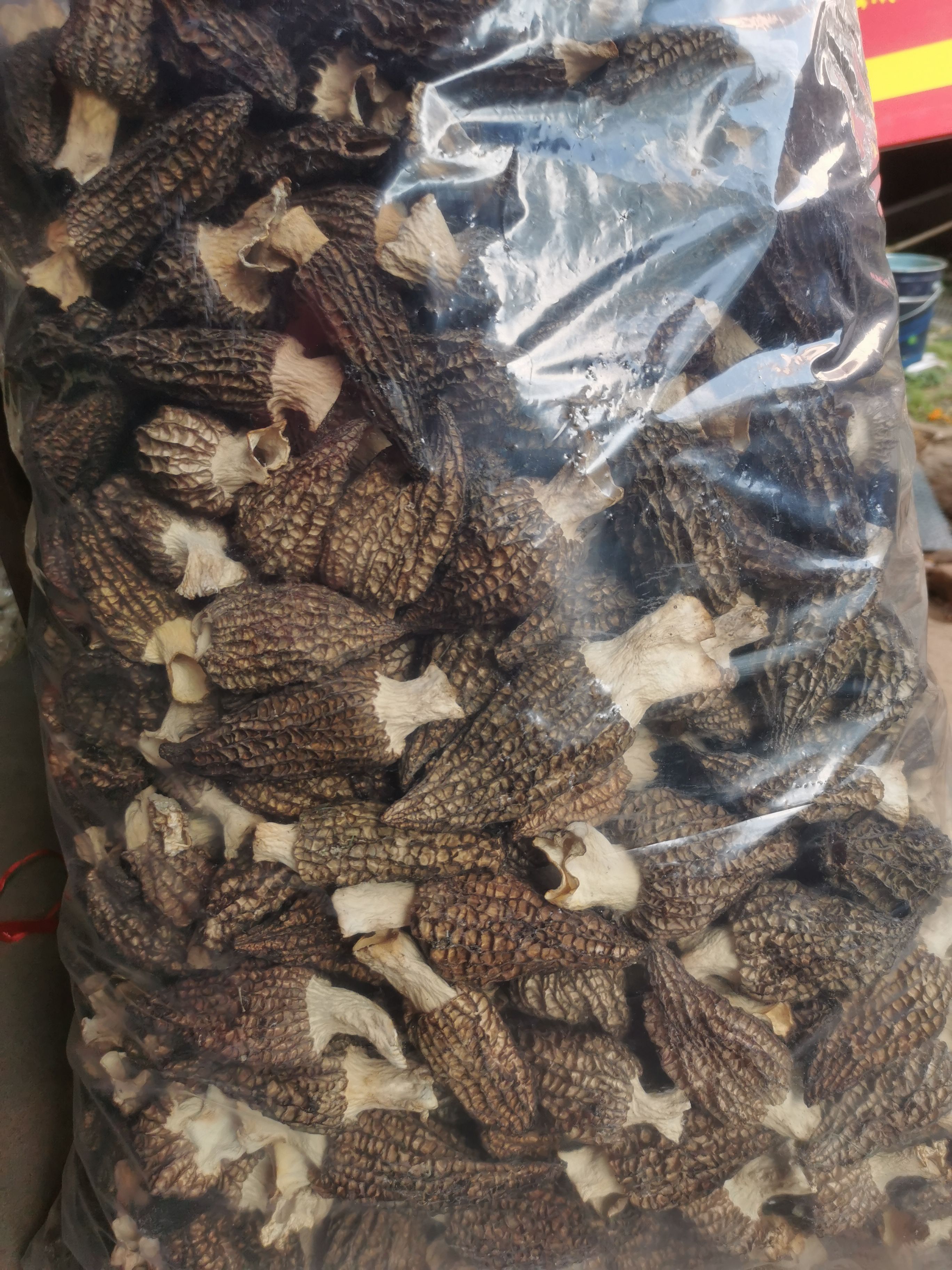 【1斤起批】产地羊肚菌  手选品质 各种规格 原色原干 净重