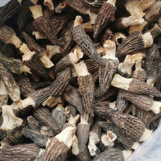 南丰县【1斤起批】产地羊肚菌  手选品质 各种规格 原色原干 净重