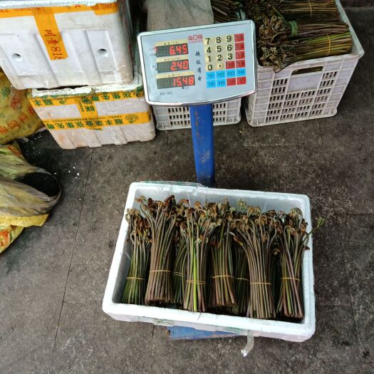 重庆市 蕨菜