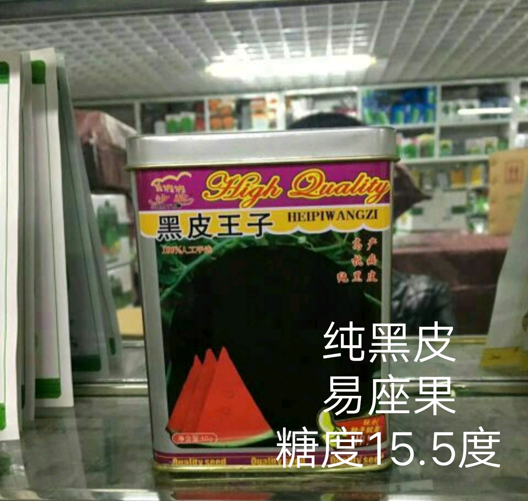 黑皮西瓜种子   黑皮王子  西瓜种子 ~源自日本抗病性强含