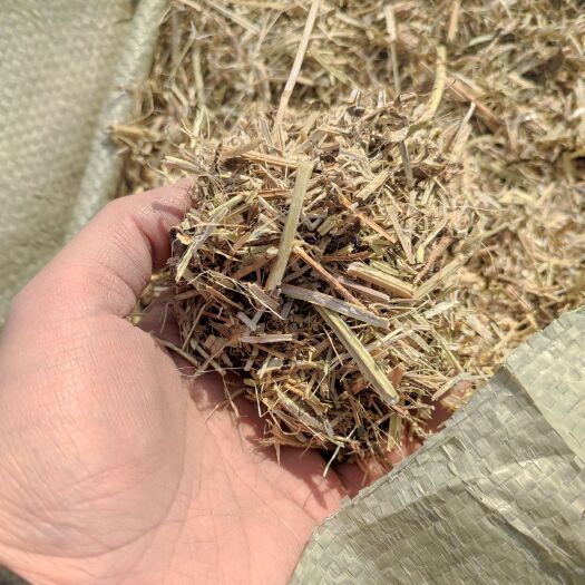 睢县一级花生秧，青绿草