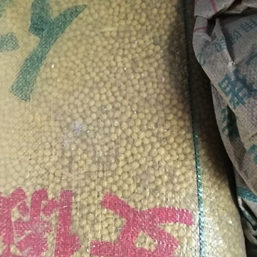 长沙黄大豆 黄豆