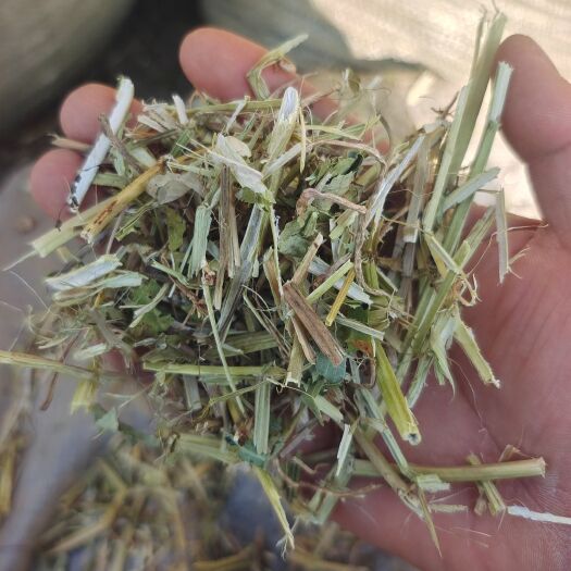 正阳县花生秧 精品，一级货，羊草，，中草