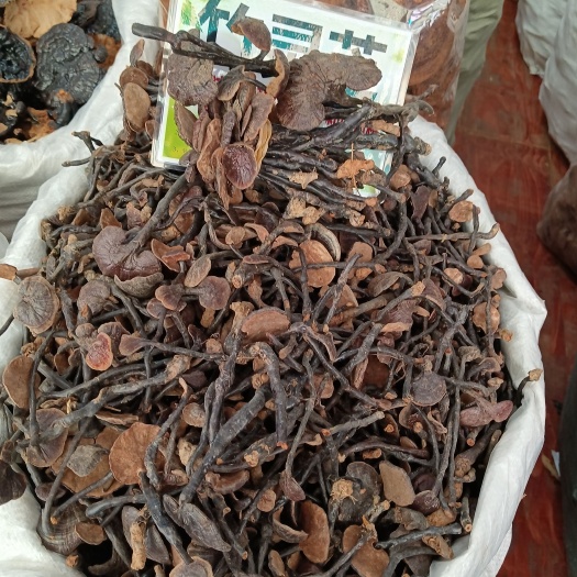 玉林赤灵芝  也生灵芝个子灵芝泡酒煲汤灵芝茶两个规格