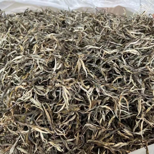 古树茶   2022年云南勐海头春普洱生茶
