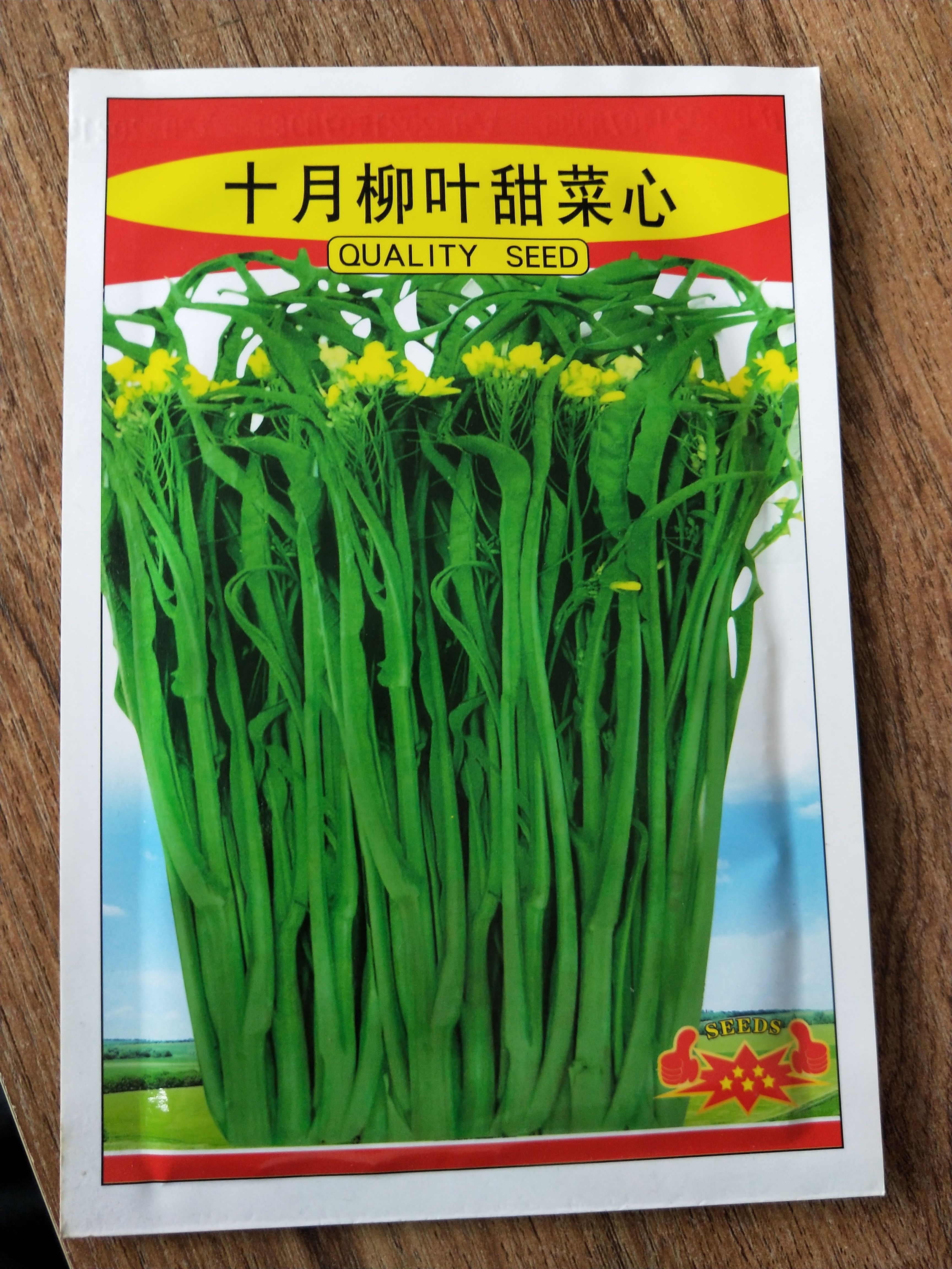 南宁柳叶甜菜心种子菜心种子蔬菜种子绿叶菜种子