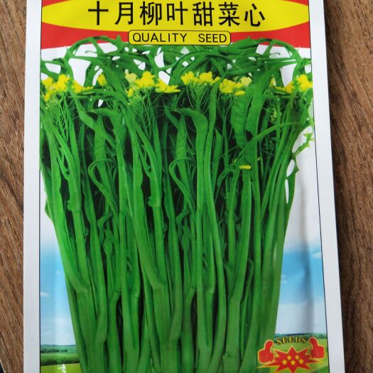 南宁柳叶甜菜心种子菜心种子蔬菜种子绿叶菜种子