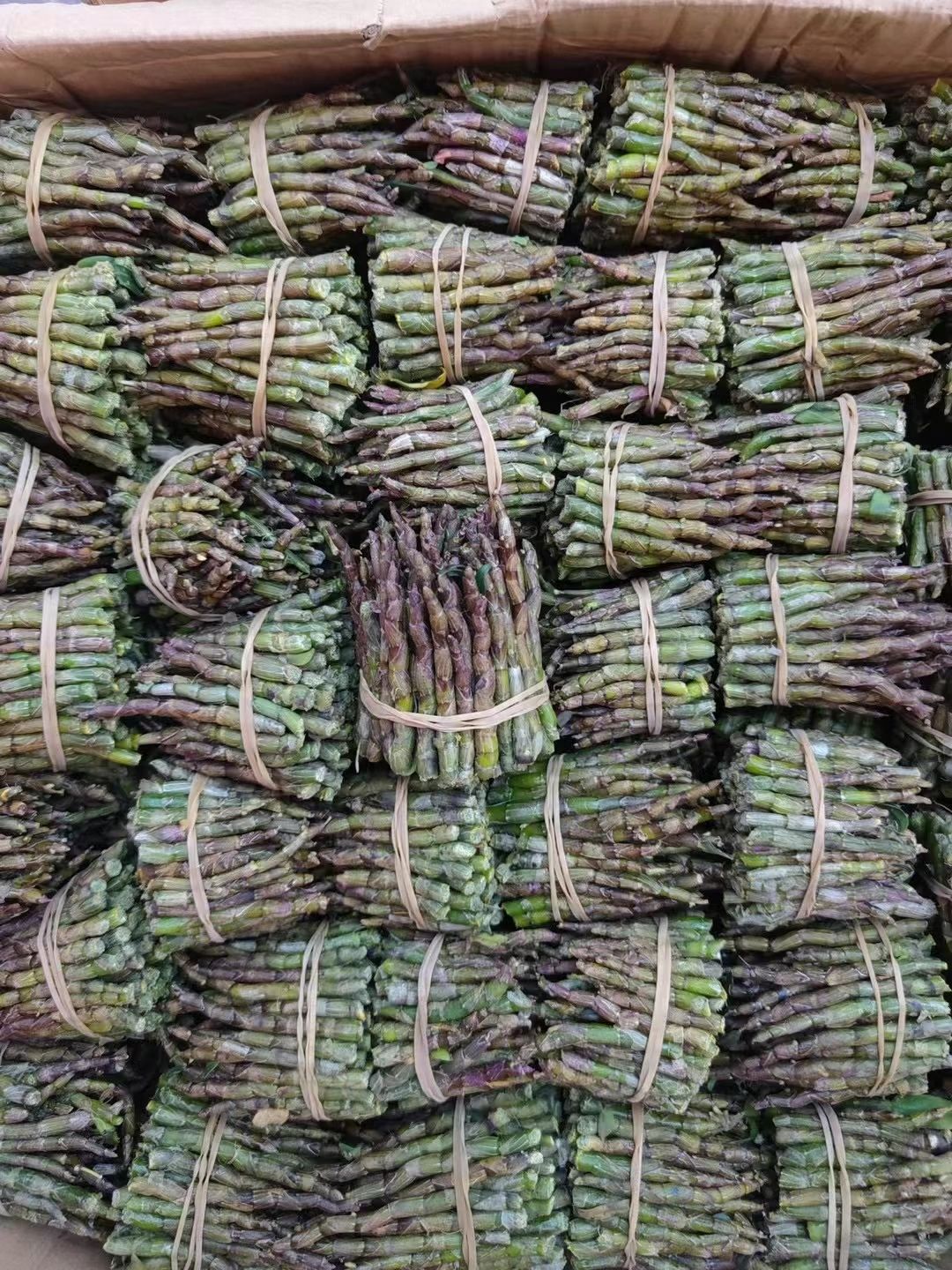 昆明￼ 铁皮石斛新鲜条仿自然环境露天云南特产滋补非霍山枫斗紫