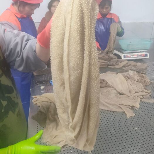 成都毛肚，大叶片
