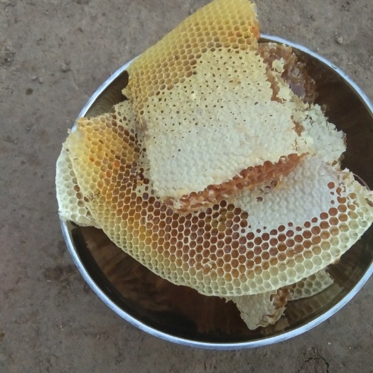 蒙自市野蜂蜜 42 6-12个月 蜂蜜 2022-04-16 - 2022-12-01 