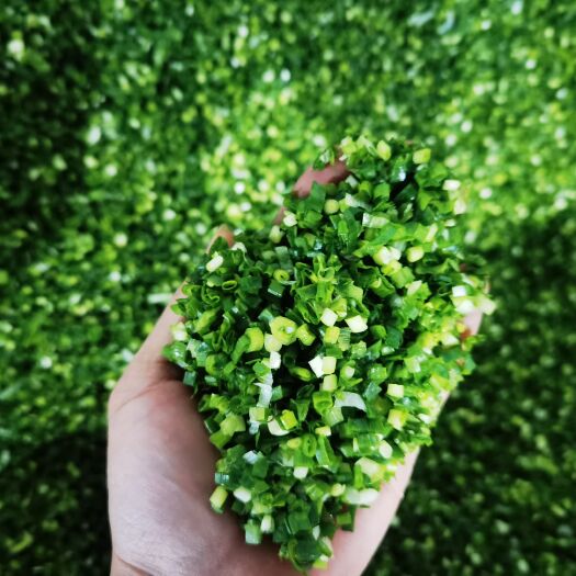 上海小葱 葱花