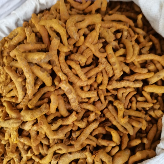 玉林姜黄个