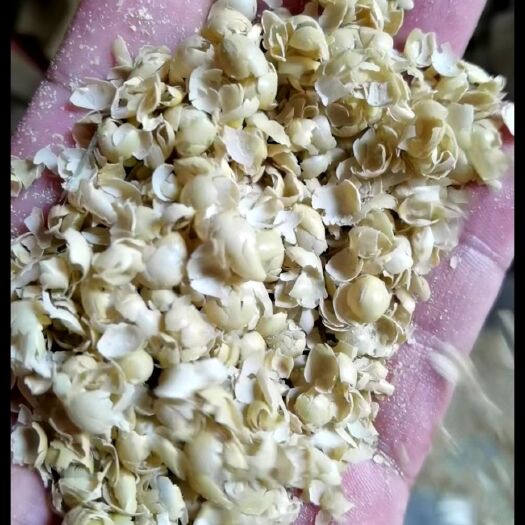 石家庄黄豆壳。