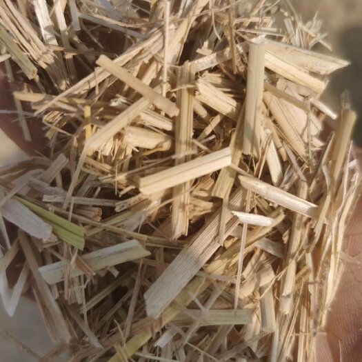 天津稻草 克拉斯铡段 3--5公分/段