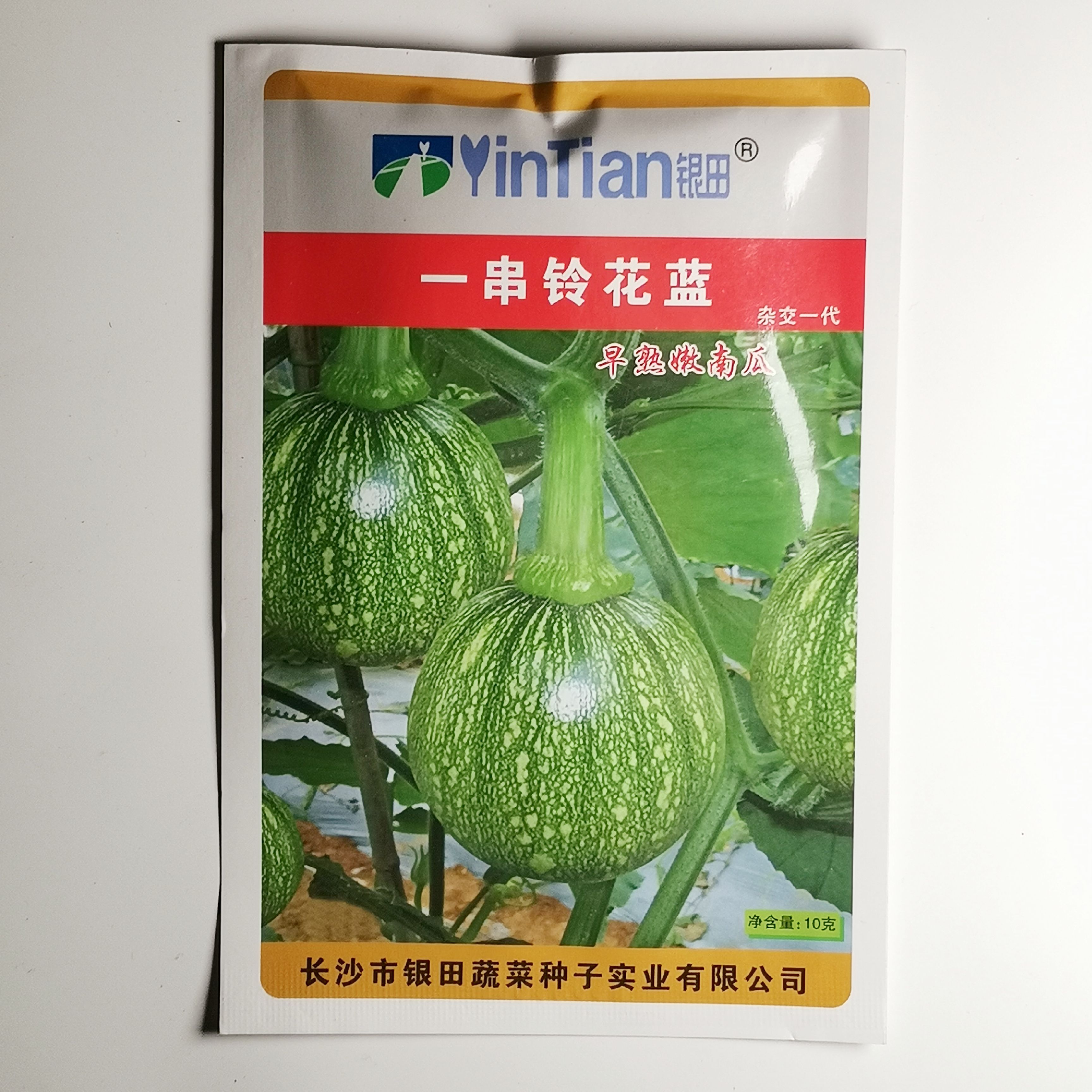 沭阳县迷你南瓜种子 一串铃南瓜种绿板栗菜用小南瓜种子早熟杂交大田种