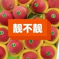 乐亭县春雪水蜜桃，大量上市中，支持一件代发！