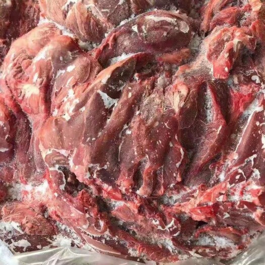 临沂 羊肉板烧烤烤肉火锅涮肚饭店酒店食堂快餐一手货源新鲜