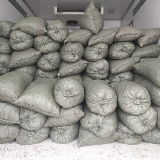 白蛤 货质量新鲜活