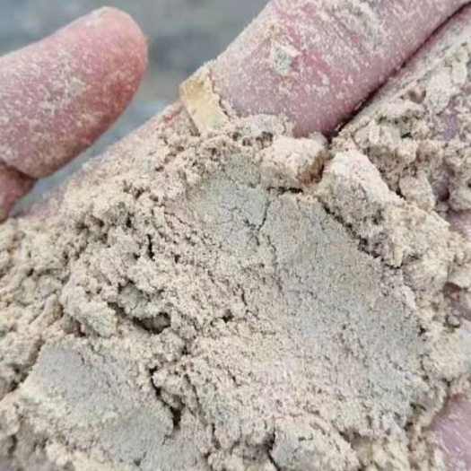 正定县禾谷饲料 谷子粉