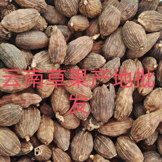 昆明云南草果批发大颗粒草香料草果粉炖肉火锅调料2500克起批