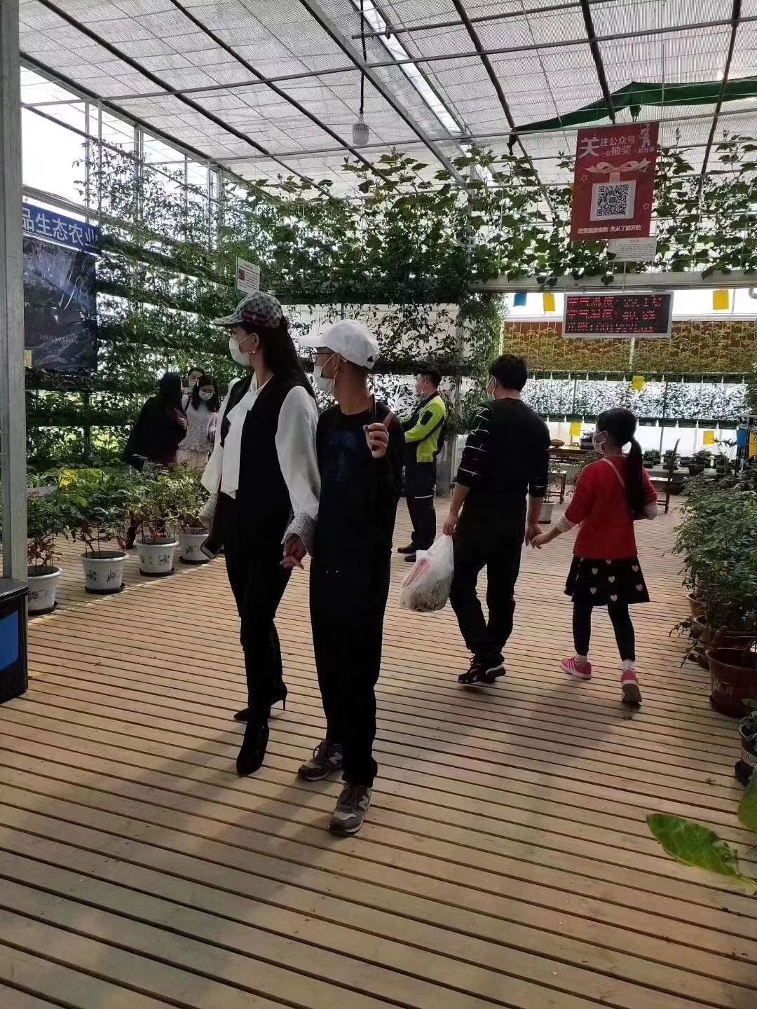 种植大棚 山西省建设各种智能温室大棚