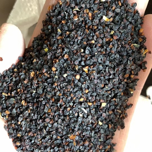 瞿麦种子 石竹种子 瞿麦籽 包芽率包邮 纯新种子 批发零售