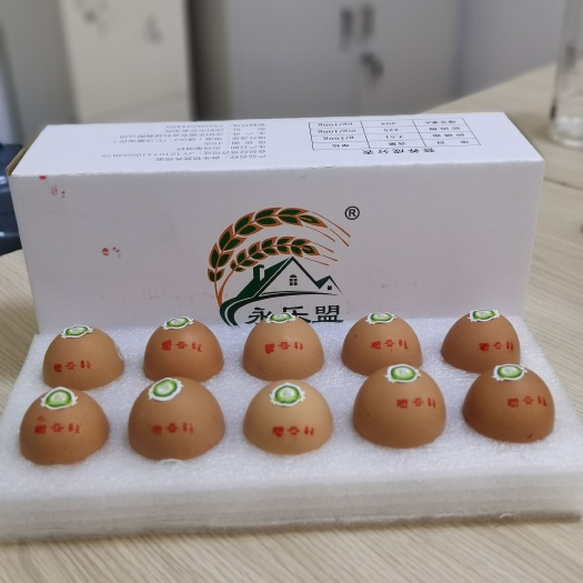 沈阳红壳蛋   微生物营养鸡蛋