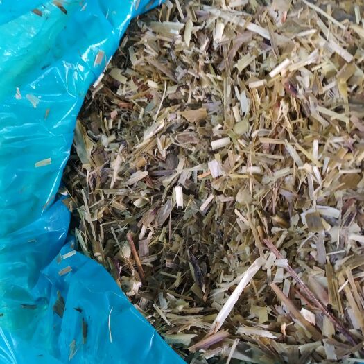 融水县青储草 牛 羊 马 鱼 