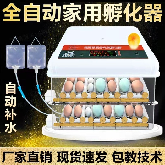 张家界孵蛋器全自动智能孵化箱家用中小型鸡鸭鹅鹌鹑鸽子鸟蛋孵化机设