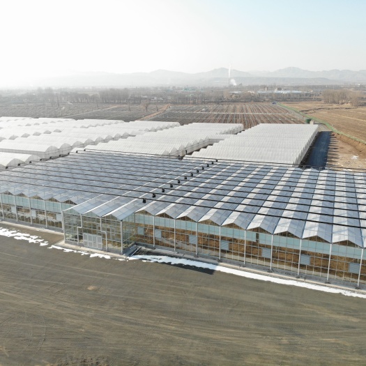 种植大棚 内蒙古建设各种智能温室大棚