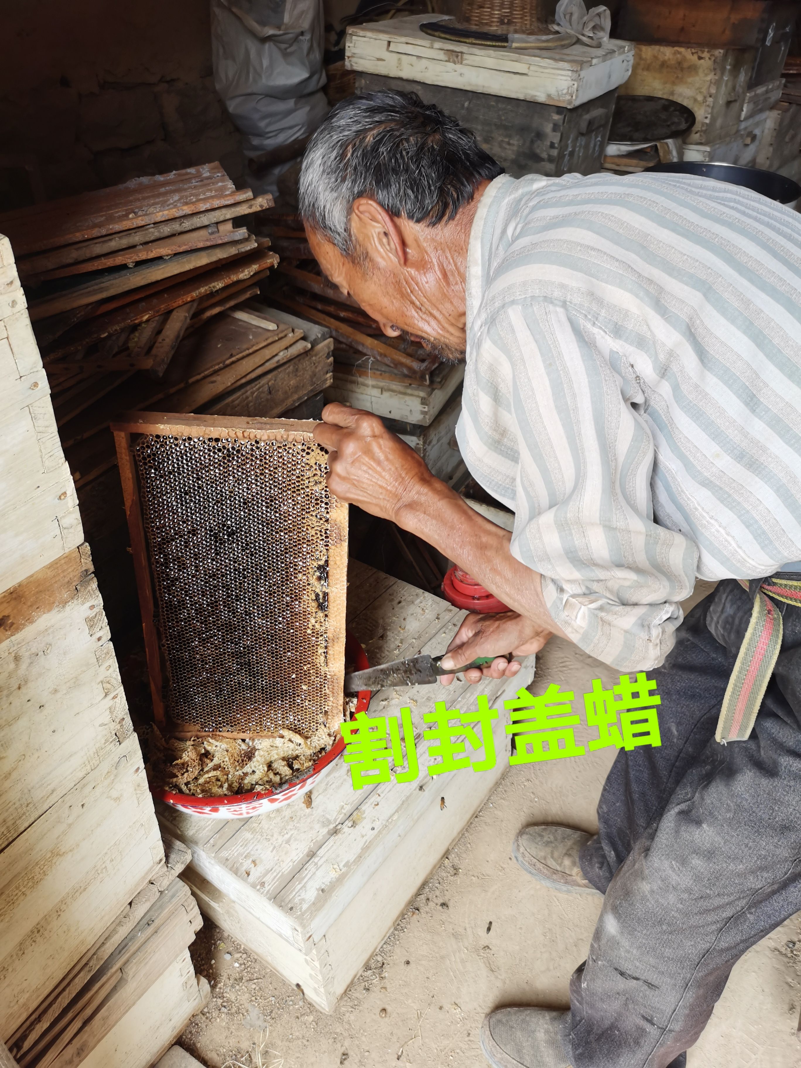 槐花蜜 蜂农自产自销槐花蜂蜜