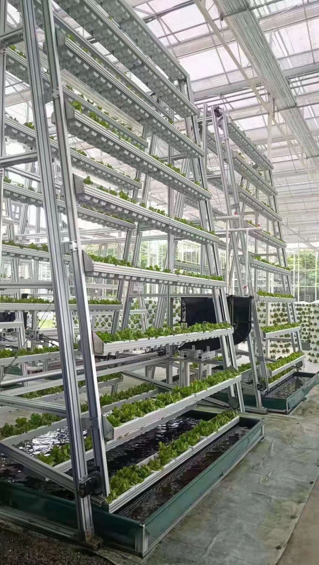 种植大棚 山西省建设各种智能温室大棚