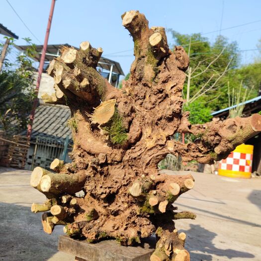 资阳 黄荆桩