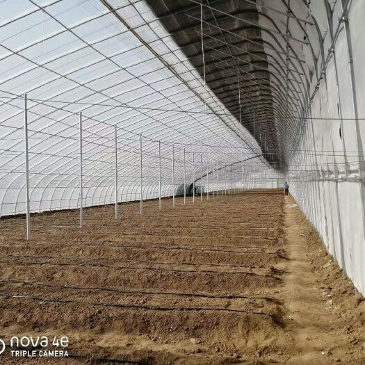 德州种植大棚 新疆建设各种智能温室大棚