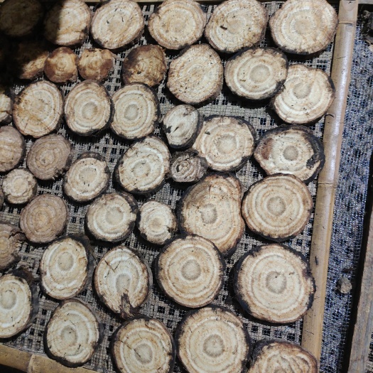 商南县干葛根 我们处于秦岭山脚下，都是生长几十年的深山葛根药用价值非常高