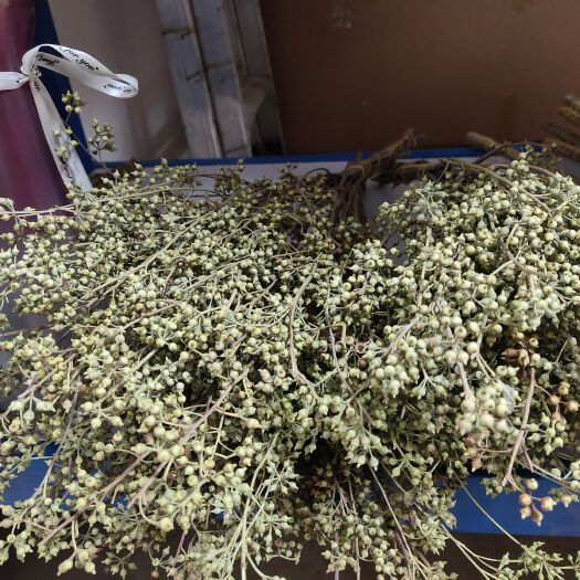 昆明小米果干花