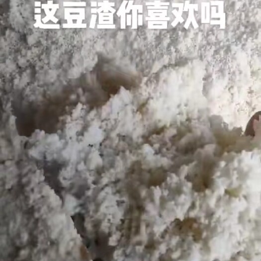 无锡发酵饲料 信息豆渣供应